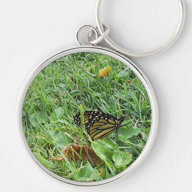 A Monarch Butterfly  Keychain (Front)