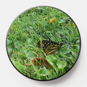 A Monarch Butterfly PopSocket
