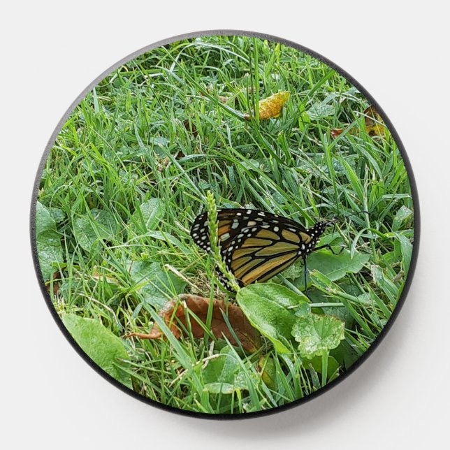 A Monarch Butterfly PopSocket (Popsocket)