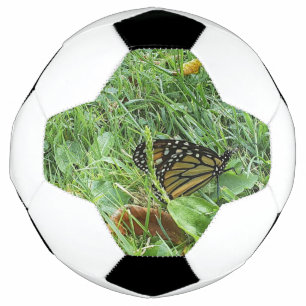 A Monarch butterfly  Soccer Ball