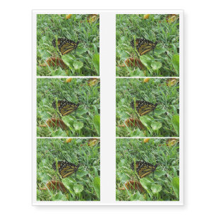 A Monarch Butterfly Temporary Tattoos