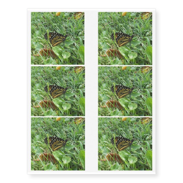 A Monarch Butterfly Temporary Tattoos (Front)