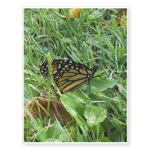 A Monarch Butterfly Temporary Tattoos