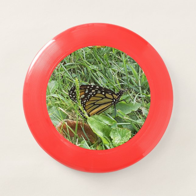 A Monarch Butterfly  Wham-O Frisbee (Front)