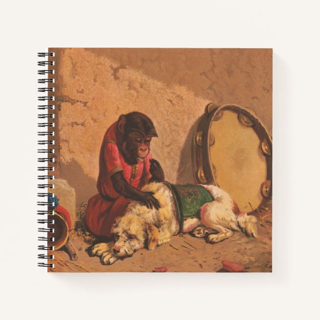 A Monkey And A Dog With A Large Tambourine Notebook (Front)