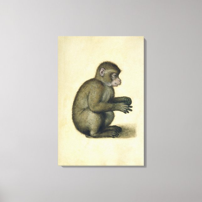 A Monkey Canvas Print (Front)