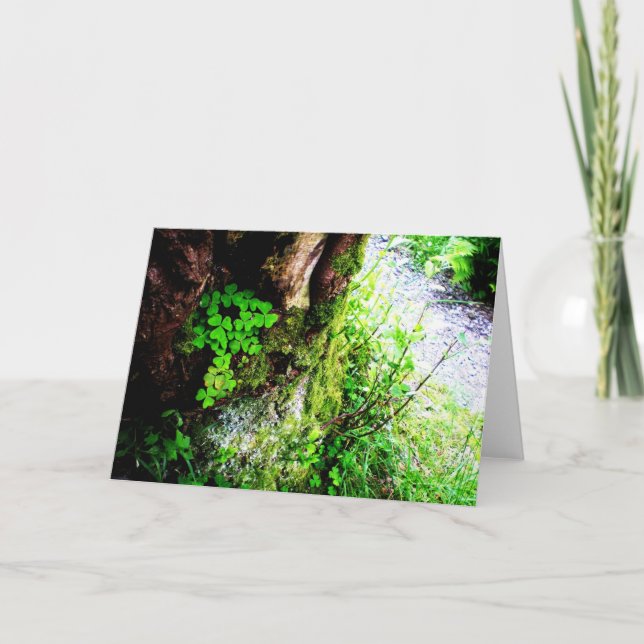 A Monks Shamrocks Card (Front)