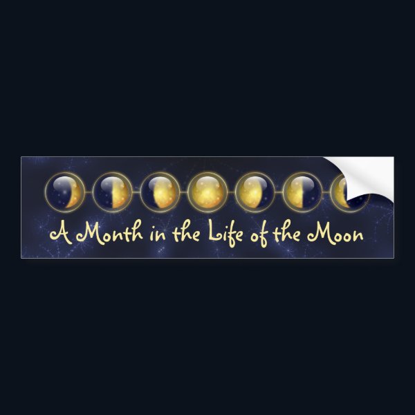 A Month in the Life of the Moon Bumper Sticker