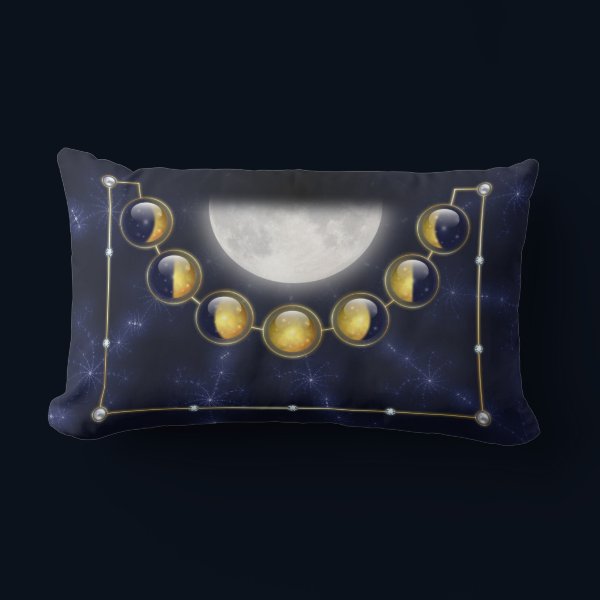 A Month in the Life of the Moon Pillow