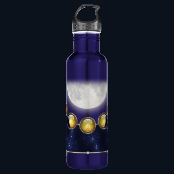 A Month in the Life of the Moon Stainless Steel Water Bottle