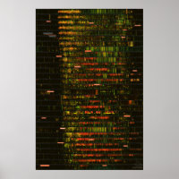 A Month of Yellowstone Sounds