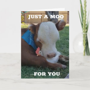 A MOO AND A WISH FOR "YOUR BIRTHDAY" CARD