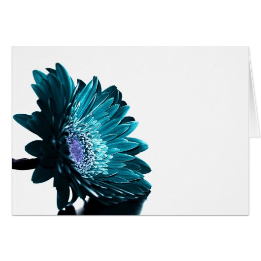 A Moonlit Night Cards (Front Horizontal)