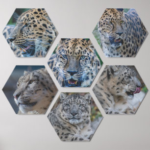 A Mosaic of Feline Power Photo Tile