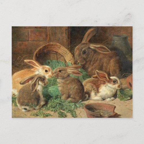 A Mother Rabbit and her Young by Alfred Barber Postcard