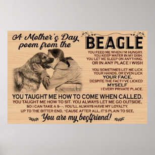 https://rlv.zcache.com/a_mothers_day_poem_from_the_leonberger_dog_poster-r065526f1d8144223ba2804ac40f75a7e_wfz_8byvr_307.jpg