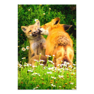 A Mother's Kiss Wildlife Nature Art Print