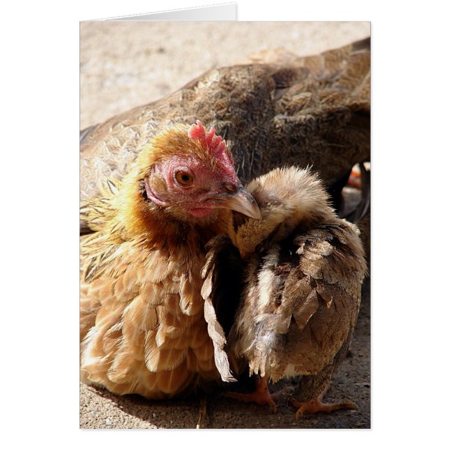 A Mother's Love (Front)