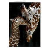 A Mother's Love (Front)