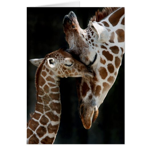 A Mother's Love (Front)