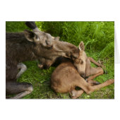 A Mother's Love (Front Horizontal)