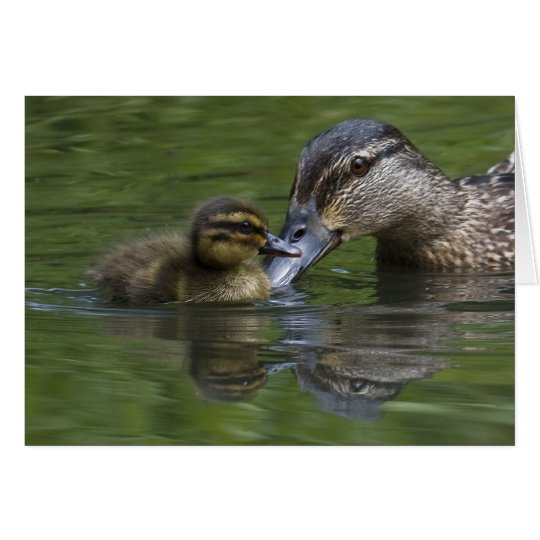 A Mother's Love Card