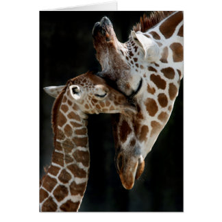 A Mother's Love Cards
