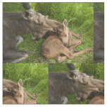 A Mother's Love Fabric