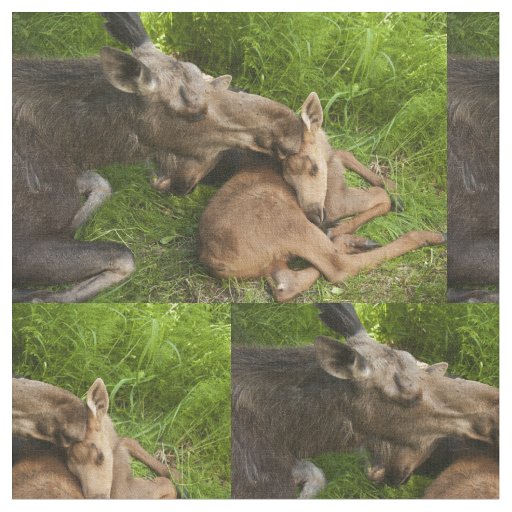 A Mother's Love Fabric