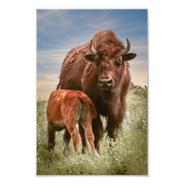 A Mothers Love Photo Print (Front)