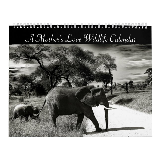 A Mother's Love Wildlife Calendar (Cover)