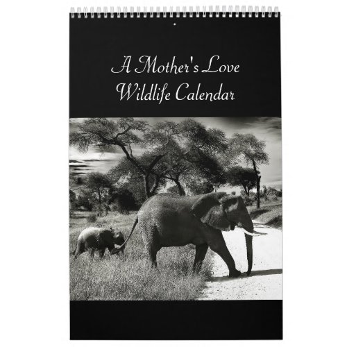A Mothers Love Wildlife Calendar