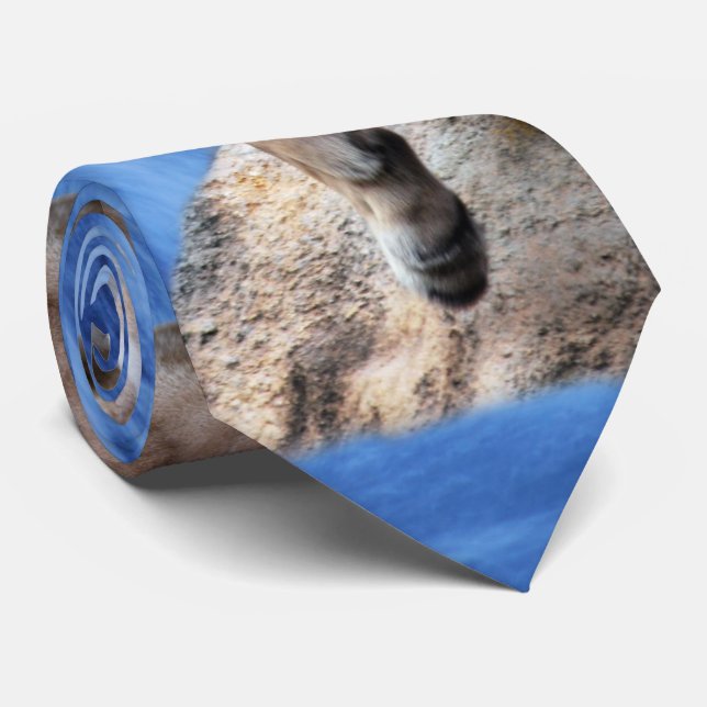 A mountain lion at the waterfall tie (Rolled)