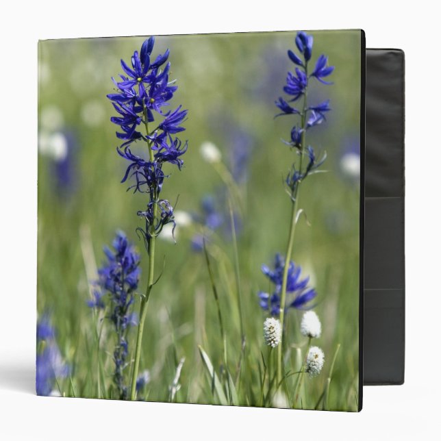 A mountain meadow of wildflowers including 3 ring binder (Front/Inside)