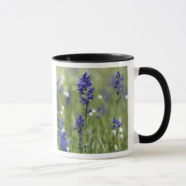 A mountain meadow of wildflowers including mug (Right)