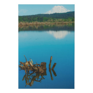 A Mountain Peers Over a Hedge Faux Canvas Print