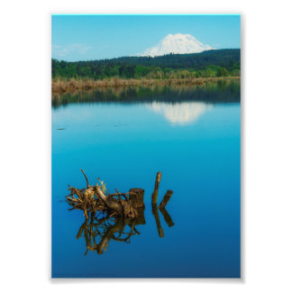 A Mountain Peers Over a Hedge Photo Print