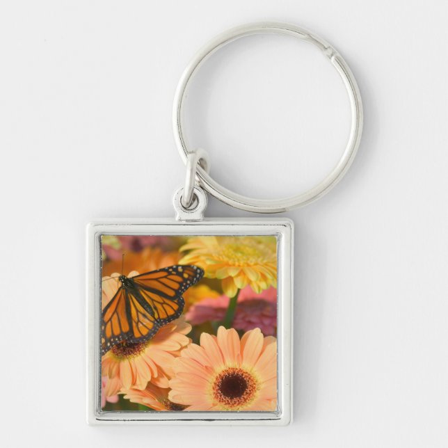 A Mourning Cloak Butterfly Keychain (Front)
