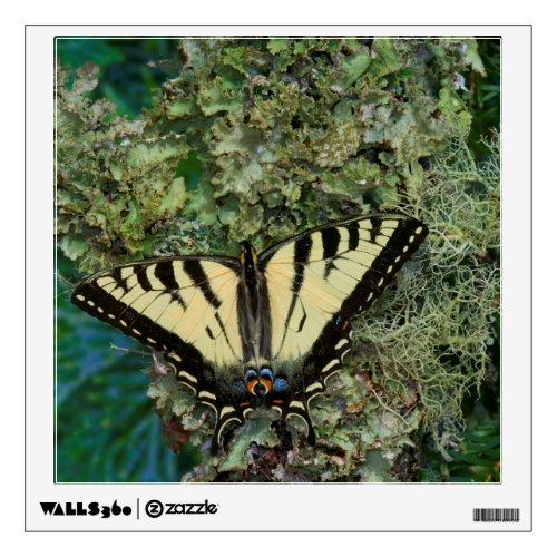 A Mourning Cloak Butterfly Nymphalis Antiopa Wall Decal