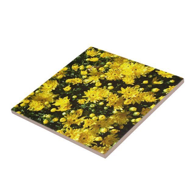A Multitude of Yellow Mums Ceramic Tile (Side)