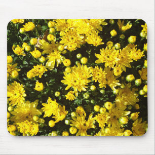 A Multitude of Yellow Mums Mouse Pad