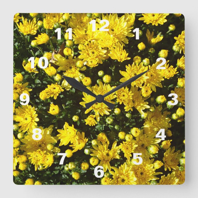 A Multitude of Yellow Mums Square Wall Clock (Front)