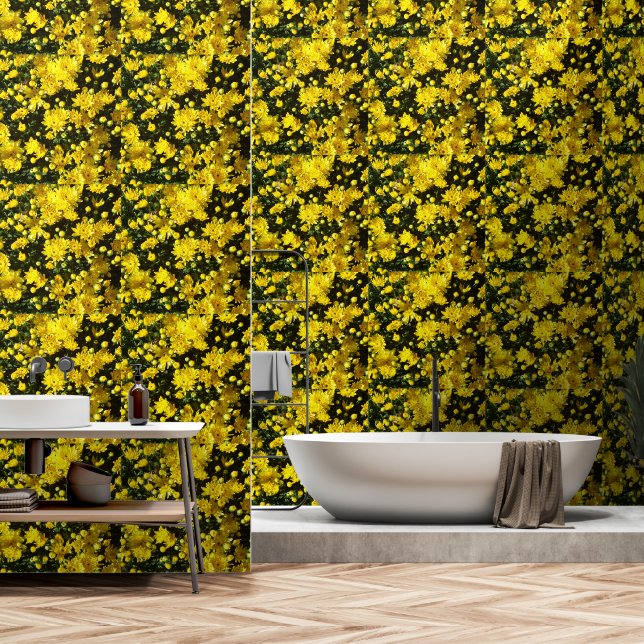 A Multitude of Yellow Mums Wallpaper (Bathroom)