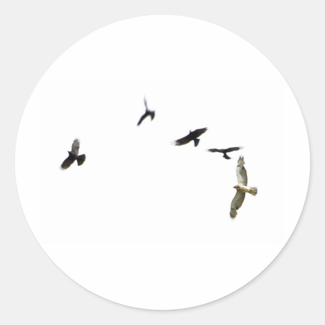 A Murder of Crows Classic Round Sticker (Front)