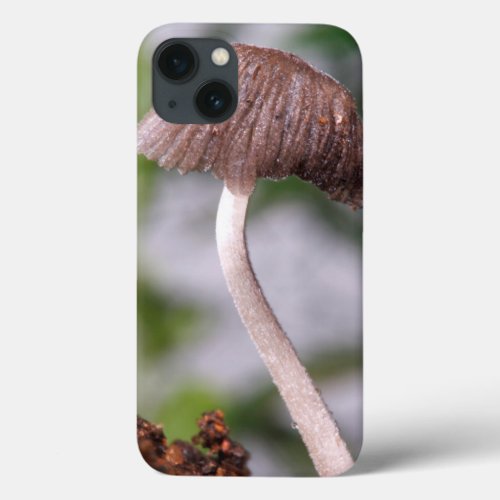 A Mushroom iPhone 13 Case