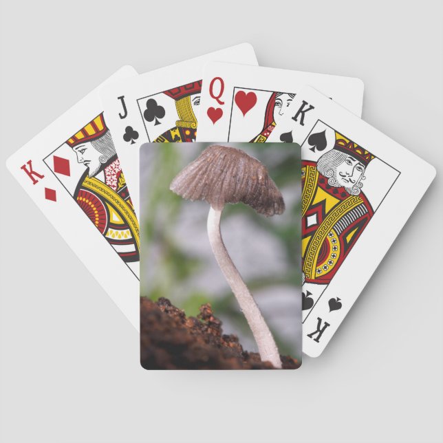 A Mushroom Poker Cards (Back)