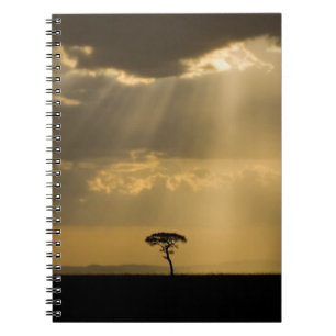 A mystical sunset on return to camp in the notebook