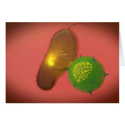 A Natural Killer Cell Injects Toxin Cards (Front Horizontal)