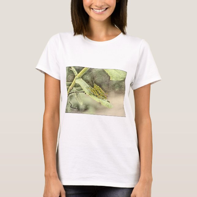  A Needle in the Haystack T-Shirt (Front)