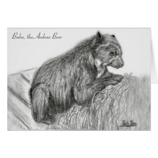 A. Neuman Sketch Card